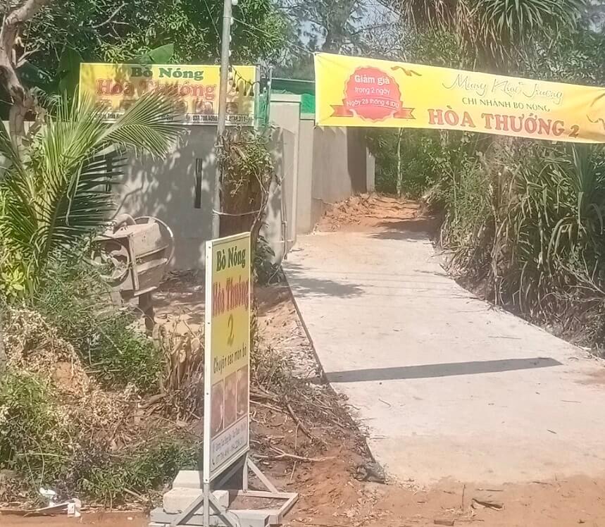 Ảnh slide minh họa 4