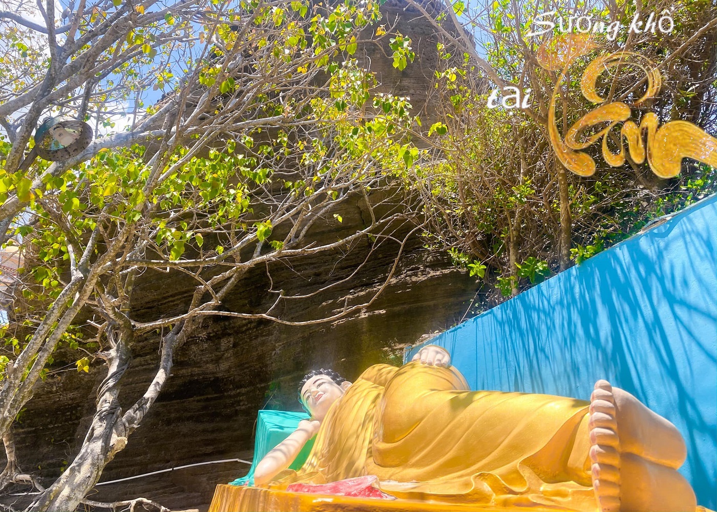 Ảnh slide minh họa 6